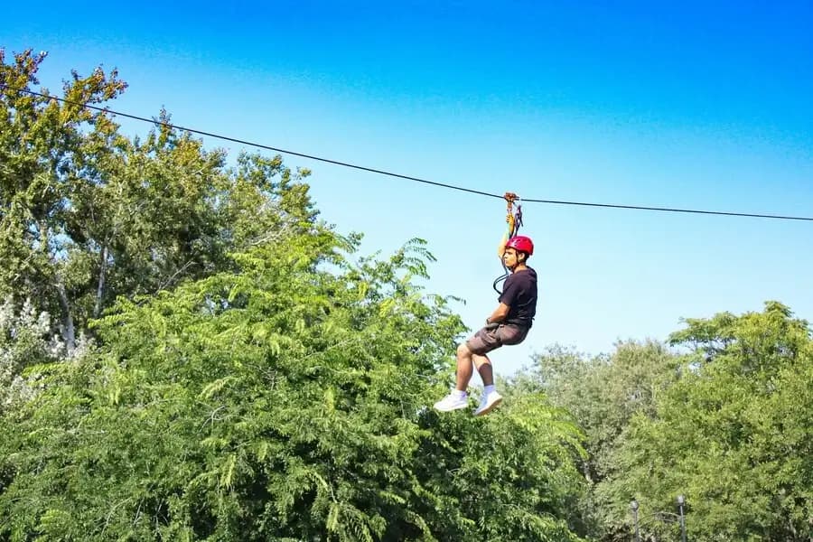 Canopy tour