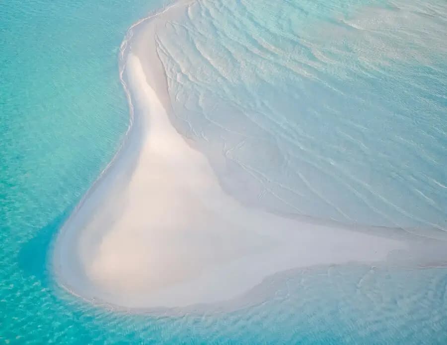 Pink island snorkeling